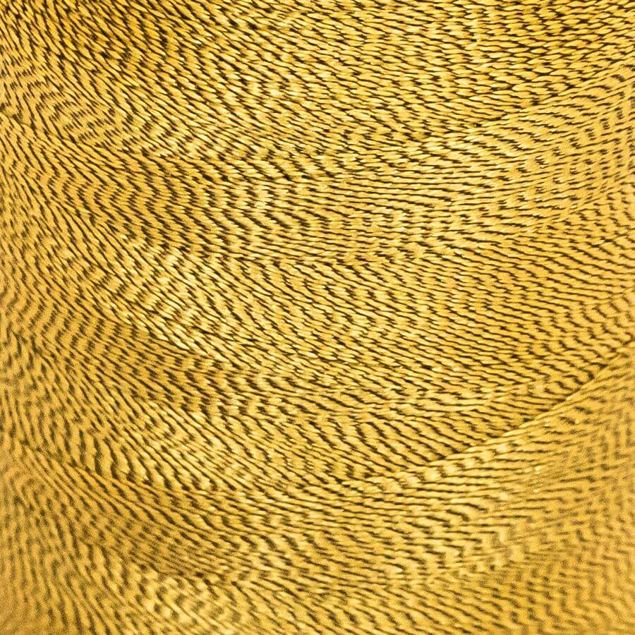 Poly Flash 40. 1000 m Miniking, Farbe 87002